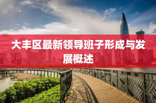大丰区最新领导班子形成与发展概述