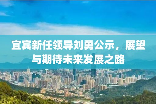 宜宾新任领导刘勇公示，展望与期待未来发展之路