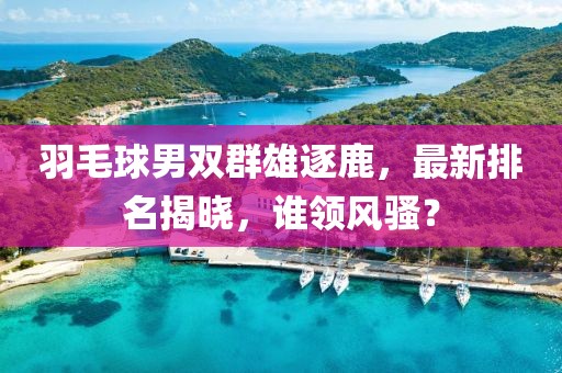 羽毛球男双群雄逐鹿，最新排名揭晓，谁领风骚？