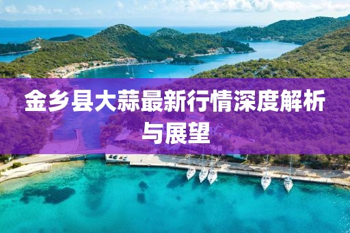 金乡县大蒜最新行情深度解析与展望