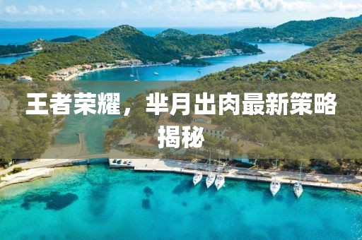 王者荣耀，芈月出肉最新策略揭秘