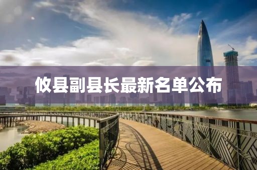 攸县副县长最新名单公布