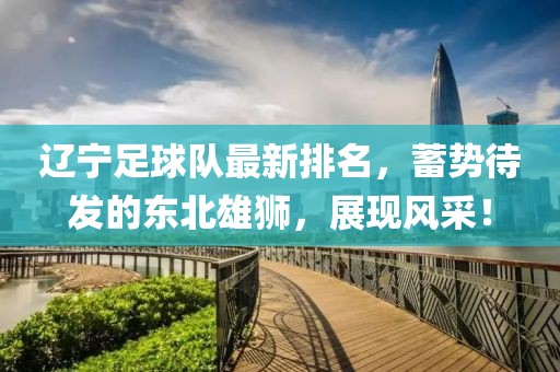 辽宁足球队最新排名，蓄势待发的东北雄狮，展现风采！