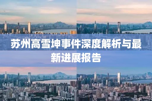 苏州高雪坤事件深度解析与最新进展报告