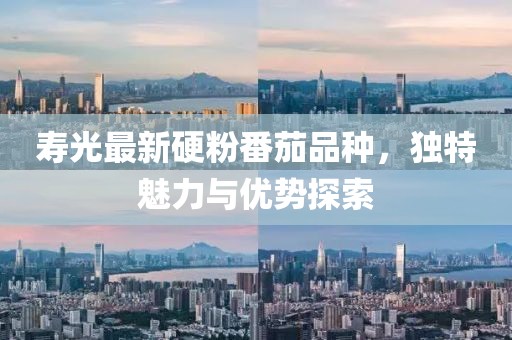 寿光最新硬粉番茄品种，独特魅力与优势探索