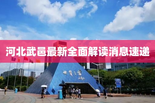 河北武邑最新全面解读消息速递