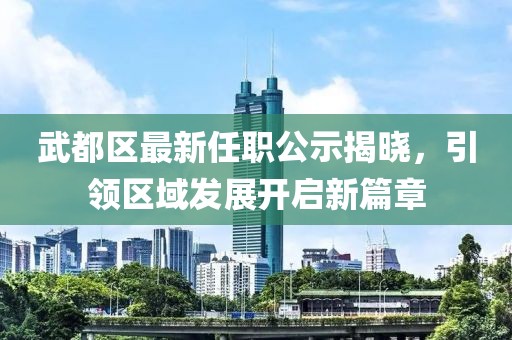武都区最新任职公示揭晓，引领区域发展开启新篇章