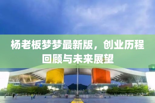 杨老板梦梦最新版，创业历程回顾与未来展望
