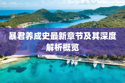 暴君养成史最新章节及其深度解析概览