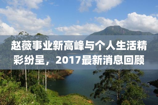 赵薇事业新高峰与个人生活精彩纷呈，2017最新消息回顾