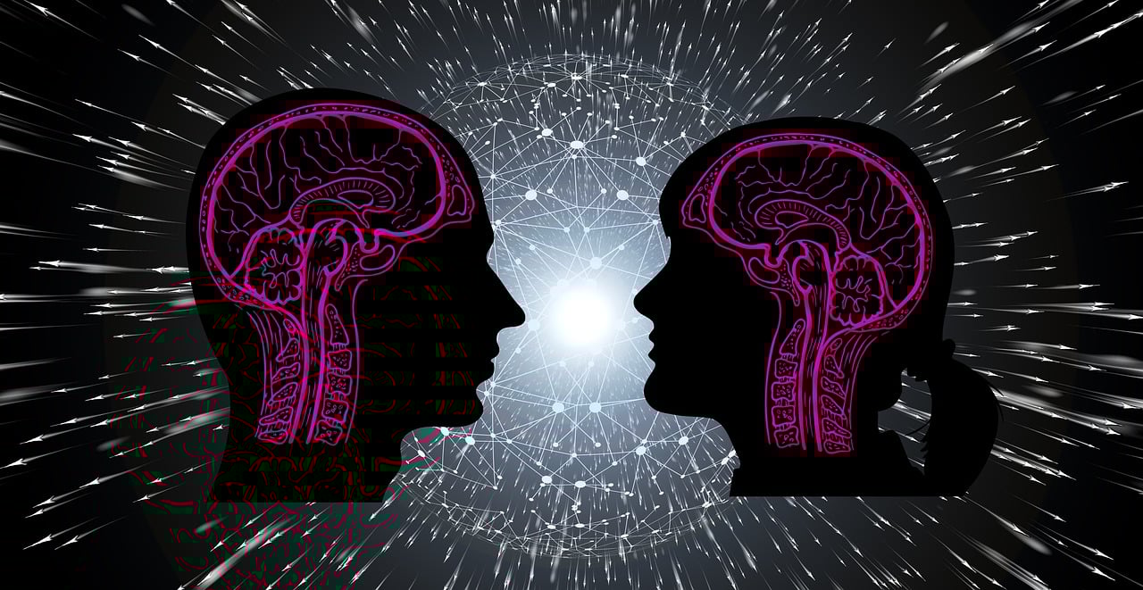 马斐然最新动态揭秘，多重身份与最新消息一览