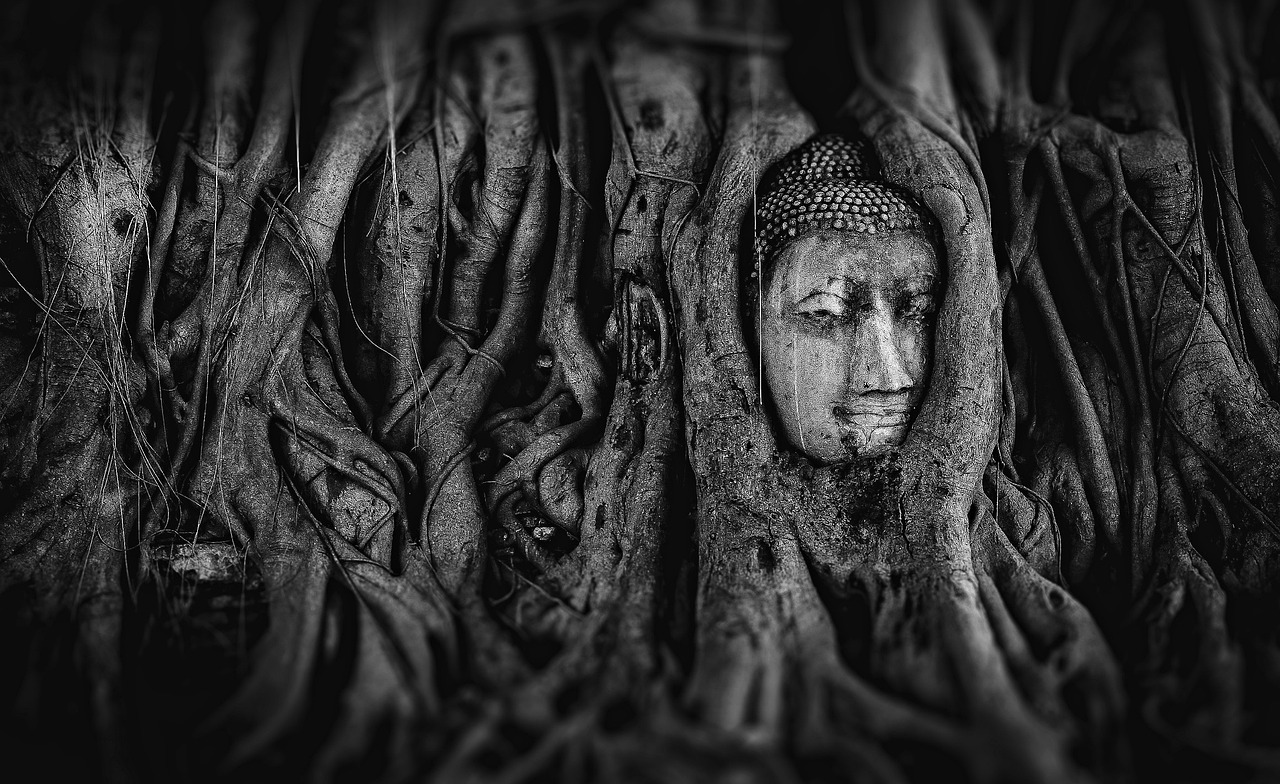 作者慕寒最新小说，奇幻世界神秘之旅探索