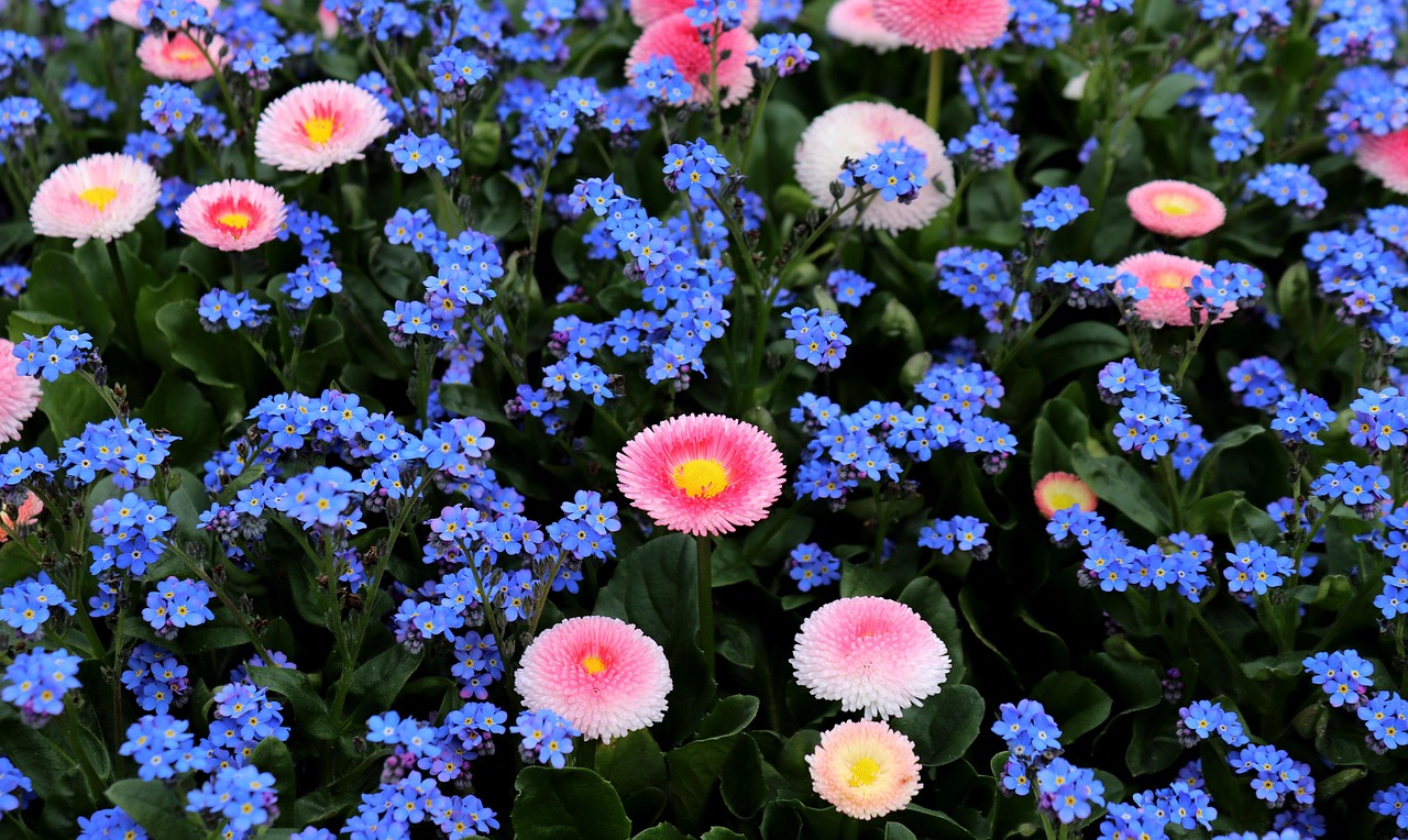 四月份春风拂面之际的花生价格行情分析