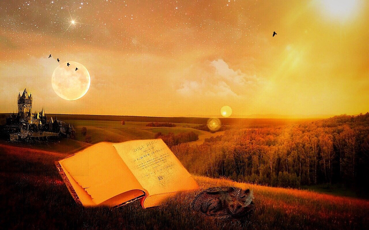 四月周公解梦明星梦境解析，探寻梦境中的星光奥秘