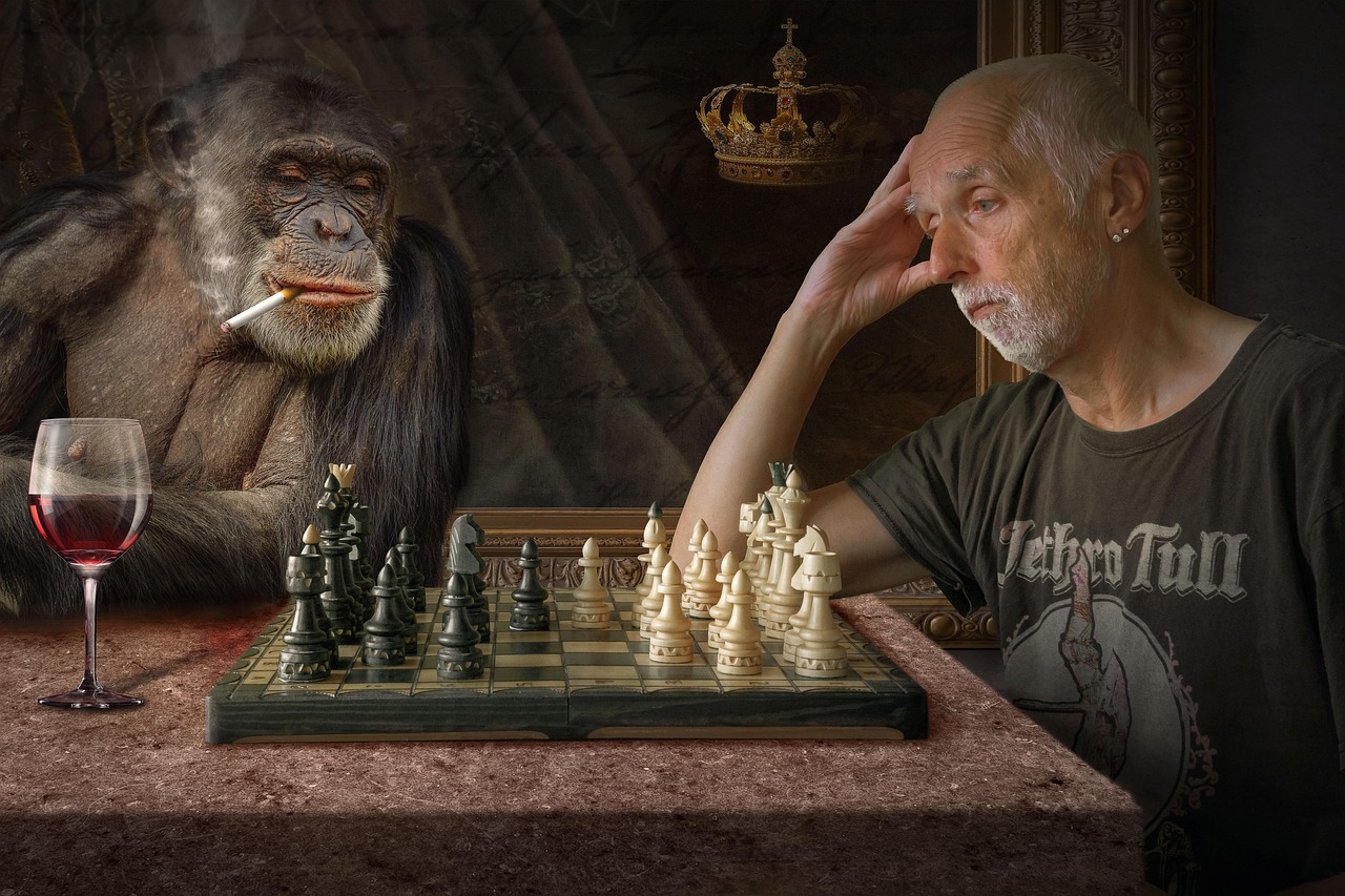 五月最新博雅中国象棋版下载，体验经典游戏的魅力