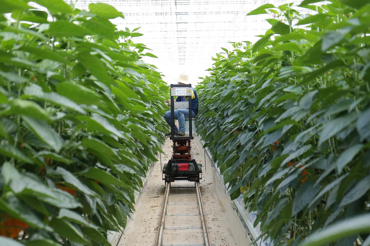 最新土方开挖边坡规范解读，五月应用与指导